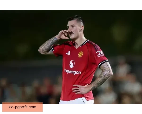 利桑德罗6000万欧元转会曼联红魔后防重建关键拼图登场