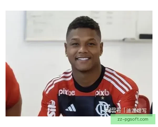 弗兰萨高价加盟水晶宫后伤病不断球队表现难尽如人意