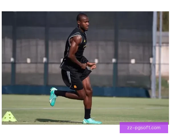 恩迪卡意甲赛场突发心脏不适比赛被迫中断引发广泛关注