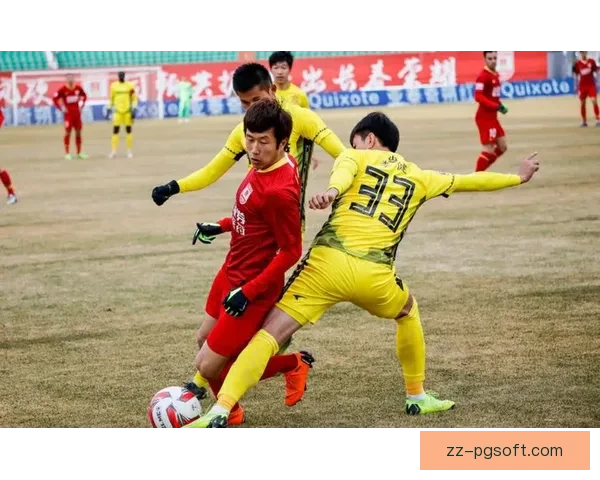 江西庐山连续两年降级却依靠递补名额奇迹重返中甲的背后故事