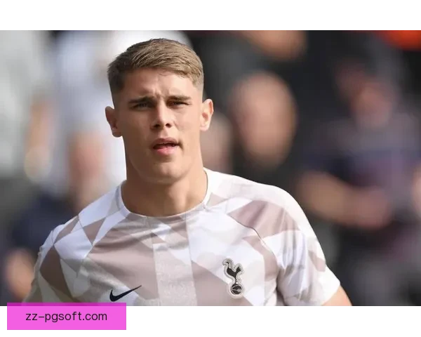 范德芬创英超最快冲刺速度纪录热刺后卫极限奔袭刷新联赛速度神话